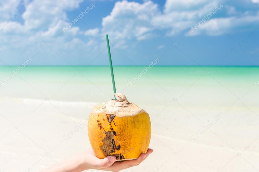 Tropical coconut on palm against a background of turquoise sea