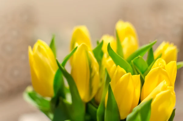 Bonito amarelo borrão primavera tulipas no fundo bokeh — Fotografia de Stock