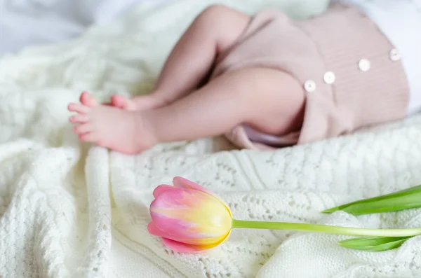 Tiny little baby's feet in woolen shorts with tulip flower ahead — Stock Photo, Image