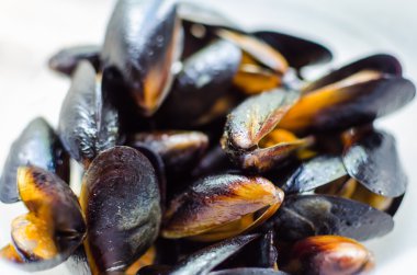 Beyaz arka plan üzerinde beyaz şarap soslu blueshell midye kapatın