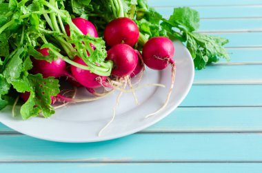 A bunch of fresh radish on plate over rustic wooden turquoise table background