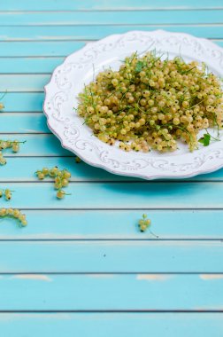Fresh white currant on plate on rustic wooden turquoise table background