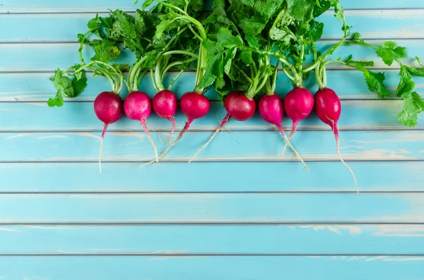 A bunch of fresh radish lying in a row on rustic wooden turquoise background — Stock Photo, Image