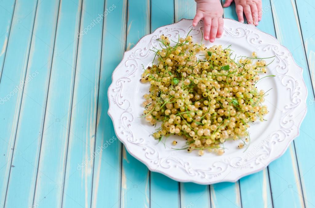 Little baby hands with white currant on plate on wooden turquoise table background