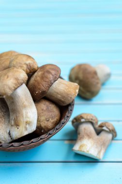 Fresh porcini mushrooms in earthenware basin on wooden turquoise table