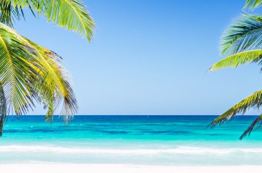 Tropical seaside view and palm trees over turquoise sea at exotic sandy beach in Caribbean sea