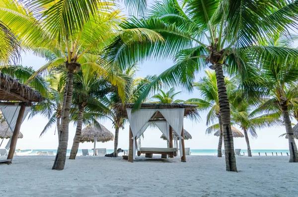 Tropical vacation view with palm trees at exotic sandy beach on Caribbean sea — Stock fotografie