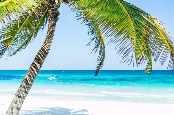 Tropical seaside view and palm trees over turquoise sea at exotic sandy beach in Caribbean sea — Stockfoto