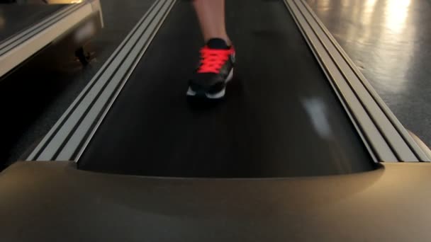 Feet of active person exercising — Stock Video