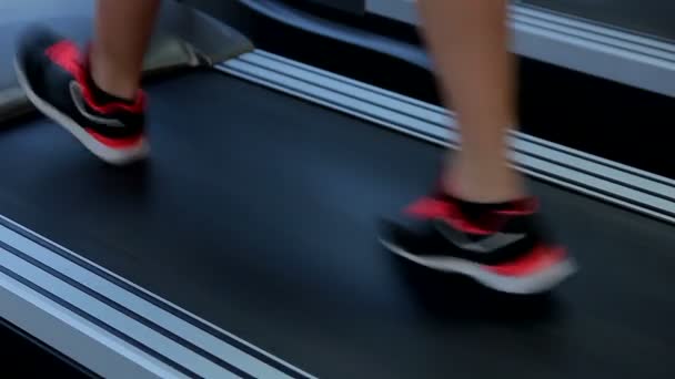 Female feet walking on treadmill — Stock Video