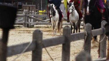 Ortaçağ festivalinde binicilik. Atların pahalı ırkların geçit töreni