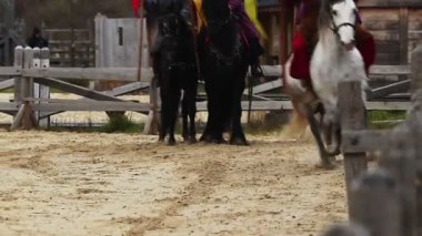 Bayraklı at binicileri. Atlar dörtnala koşuyor. Şövalyeler ile Ortaçağ eylem