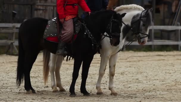 The Middle Ages. Envoys horse riders reading aloud a royal decree to villagers — Stock Video