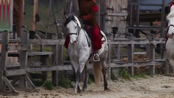 Ancient riders on purebred horses organizing competition on the main street — Stock Video