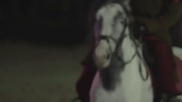 Gezant op een mooie volbloed witte paard rijden op straat, Middeleeuwen — Stockvideo