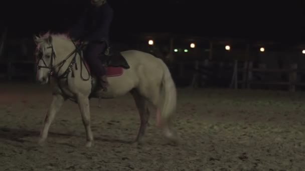 Jinete masculino, el enviado llega a la ciudad. Edad Media. Caballo de raza pura — Vídeo de stock