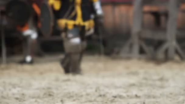 Chevaliers courageux se préparant pour l'entraînement avant le combat. Esprit d'équipe, convivialité — Video