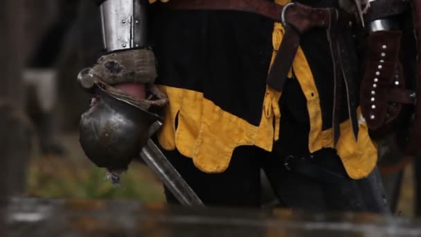 Medieval knights in steel armor — Stock Video