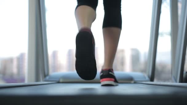 Woman training on treadmill — Stock Video