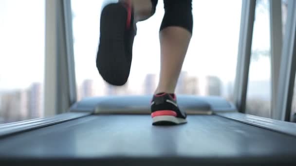 Entrenamiento de la mujer en la cinta de correr — Vídeos de Stock