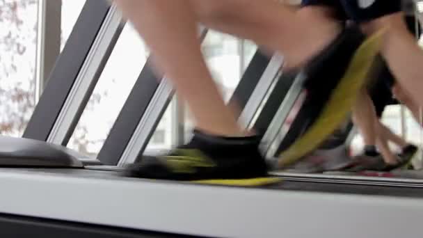 Pernas de muitas pessoas fazendo exercícios em esteira rolante no clube de esportes, motivação — Vídeo de Stock