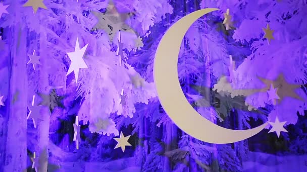 Fantásticas decoraciones de cielo nocturno de invierno con luna y estrellas, fondo de nana — Vídeo de stock