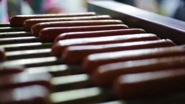 Street vendor cooking delicious sausages on grill outdoors for fast food snacks — Stok video