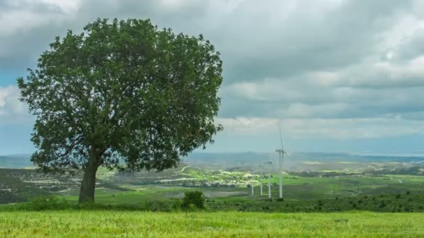 Árbol creciendo en el parque eólico. Energía verde. Protección del medio ambiente, calentamiento global — Vídeo de stock