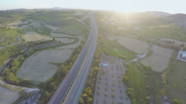 Aerial view of organic fields, green gardens at countryside. Rural landscape — Stock Video