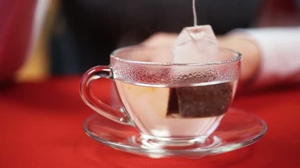 Teatime, fêmea a fazer chá preto, a pôr molho de chá numa chávena. Pessoa com frio — Vídeo de Stock