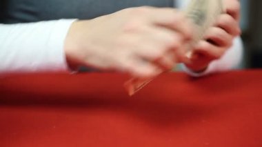Para sayma ve çalışanlara maaş veren banka muhasebeci. Finans ve bütçe
