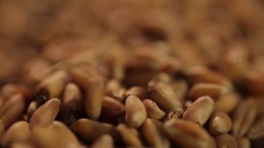 Aşırı closeup bırakarak, doğal gıda ürün kaliteli tahıl tahıl
