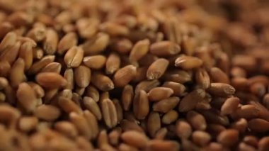 Seçme tahıl depolama tesisi, kepekli gıda sağlıklı beslenme için bir sürü