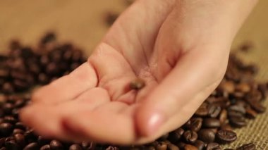 Arabica kahve çekirdekleri kadın elinde, aromalı içecek bırakarak seçin koyu kavrulmuş