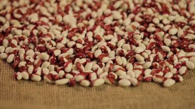 İnsan dökme fasulyeli kahverengi kumaş, iyi hasat, ürünleri ihracat için eller