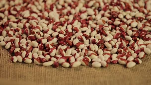 Mänskliga händer hälla bönor på brunt tyg, god skörd, produkter för export — Stockvideo