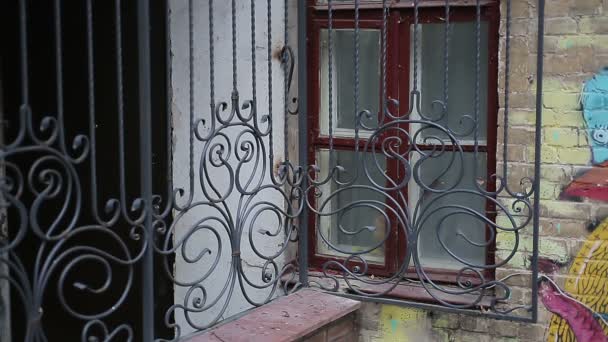 Gattino rosso che guarda attraverso la finestra di un vecchio edificio, una casa di cura per anziani o un ospizio — Video Stock