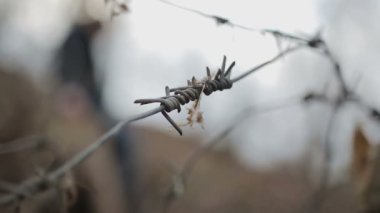 Keskin dikenli tel yakın çekim, siluet rahatsız kişinin kağıtları rüzgarda atma