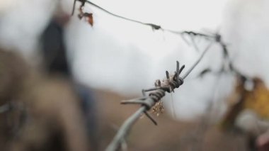 Genç adam alkol protesto karşı kısıtlamalar, baş döndürücü duygu üzgün
