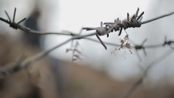 Close-up van de scherpe prikkeldraad, intreepupil man schrijven in Kladblok, rek focus — Stockvideo