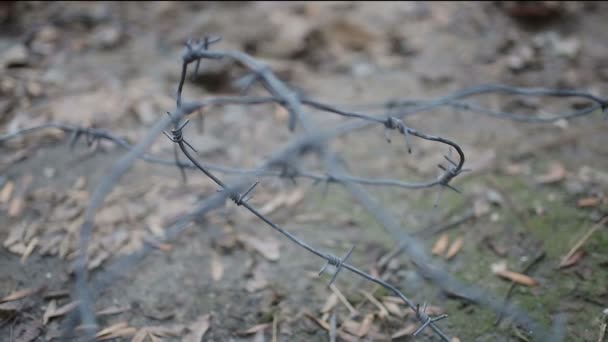 Alambre de púas con bordes afilados que cubren el suelo, símbolo de cautiverio, encarcelamiento — Vídeos de Stock