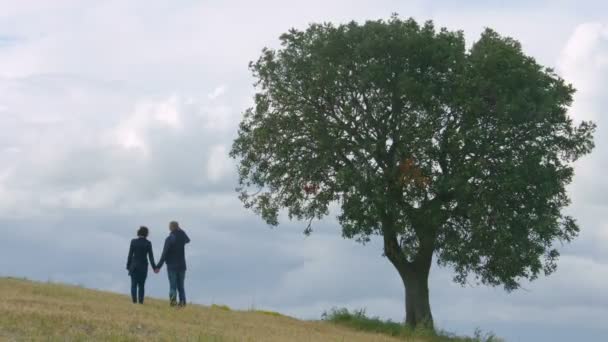 Casal casado de mãos dadas, olhando para o horizonte, sonhando com o futuro feliz — Vídeo de Stock