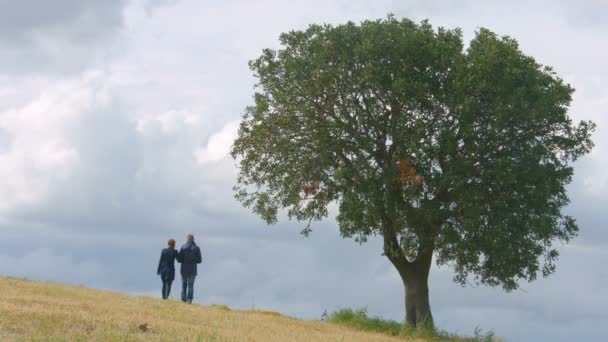 Husband and wife walking in field hand in hand, married couple together forever — Stock Video