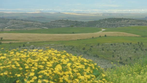 Beau champ avec fleurs, collines, panorama paysager étonnant, beauté naturelle — Video