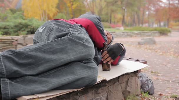 Alcoholico borracho durmiendo en el banco con la botella vacía en la mano, persona insolvente — Vídeos de Stock