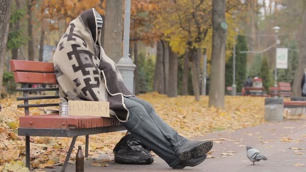 Desesperada persona sin hogar sentada en el banco, hombre hambriento pidiendo caridad — Vídeos de Stock