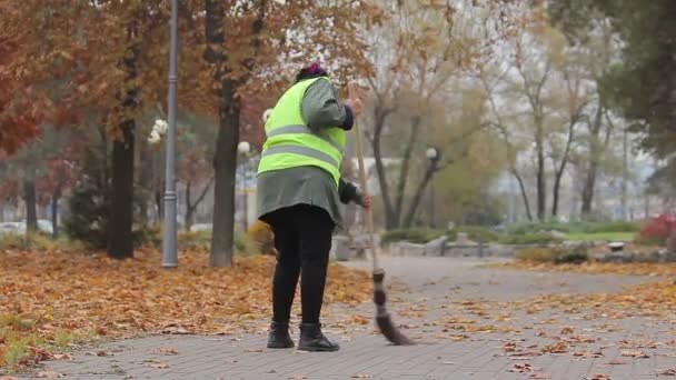 Trabajadora municipal de servicios públicos barriendo calle, trabajo mal pagado, pobreza — Vídeos de Stock