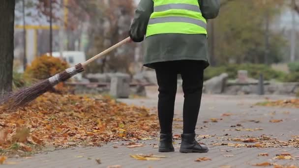 Жіночий вуличний прибиральник, що зачищає осінній парк, низькооплачувана робота, без перспектив у житті — стокове відео