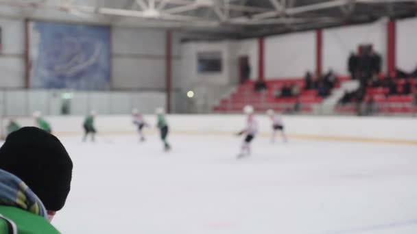 Hommes actifs jouant au hockey sur glace, passe-temps masculin, mode de vie sportif — Video