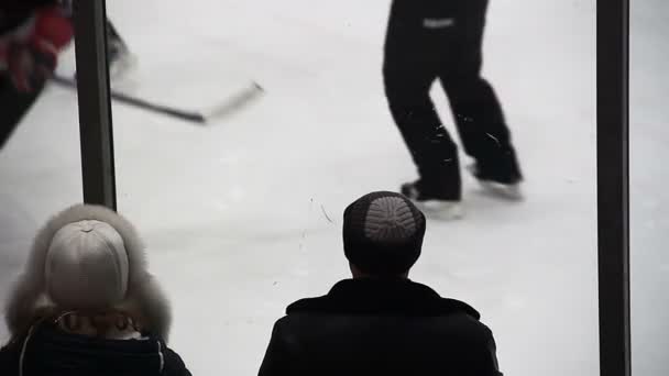 Αρσενικά και θηλυκά θεατές παρακολουθούν αγώνα χόκεϊ επί πάγου, υποστηρίζοντας την αγαπημένη ομάδα — Αρχείο Βίντεο